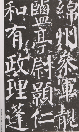 Digital Yan Family Ceremonial Inscription Scan